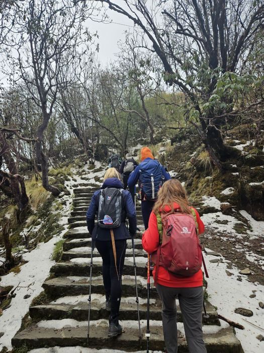 Подъём по каменным ступеням — Mardi Himal 2024