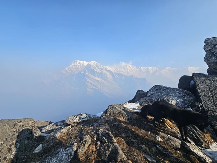 Рассвет над Аннапурной — Mardi Himal 2024